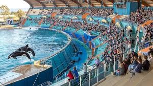 Marineland Antibes Marineland Antibes