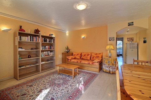 SOFA ET BIBLIOTHEQUE